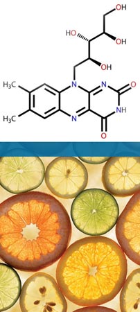 Vitamin B Complex Benefits
