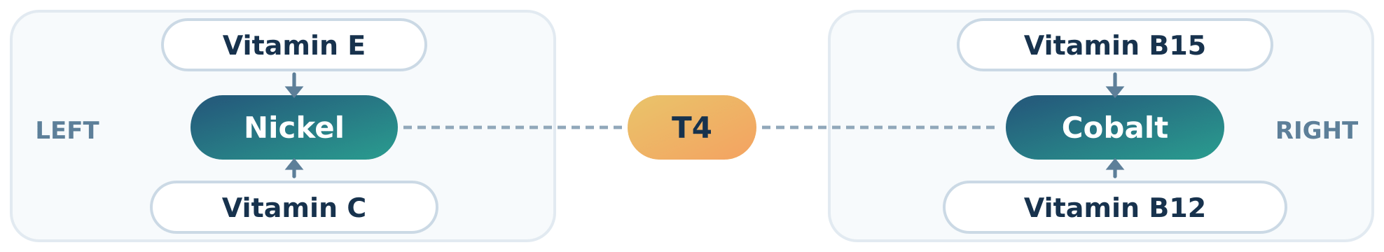 Vit C, E, B12, B15 / nickel + cobalt interactions Image